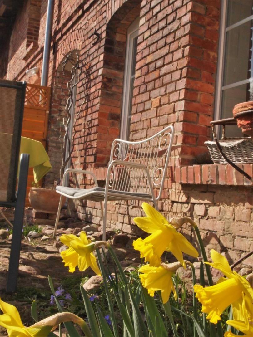 Neu Fewo Im Bauernhaus Mit Idyllischem Innenhof Und Naturgarten Mesekenhagen Exteriör bild